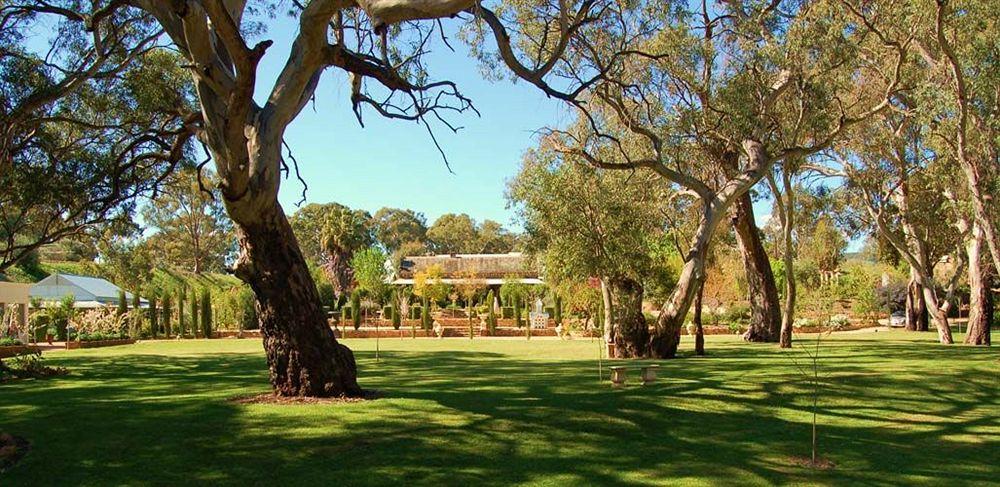 Jacobs Creek Retreat - Barossa Valley Tanunda Luaran gambar